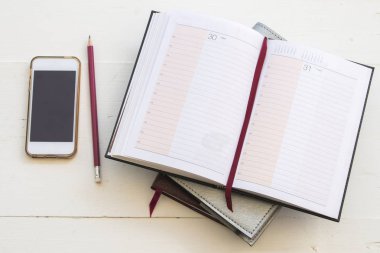 defter aylık planlayıcısı kayıt için mali 