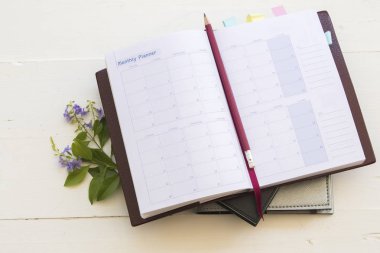 defter aylık planlayıcısı kayıt için mali 