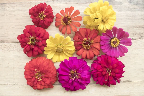 Çiçekçi beyaz renkli çiçekler için hazırlamak