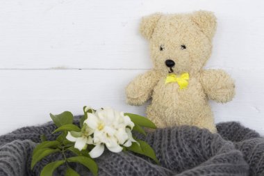 oyuncak ayı çiçek ve kışın örgü atkı 