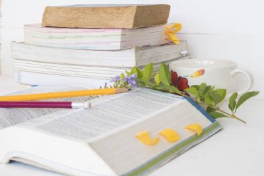 tüm kitap ve Kırtasiye için tablo beyaz üzerinde çalışma ile eğitim sözlük