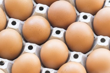 Süper sağlıklı gıdalar yumurta taze pişirmeye hazırlamak