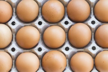 Süper sağlıklı gıdalar yumurta taze pişirmeye hazırlamak