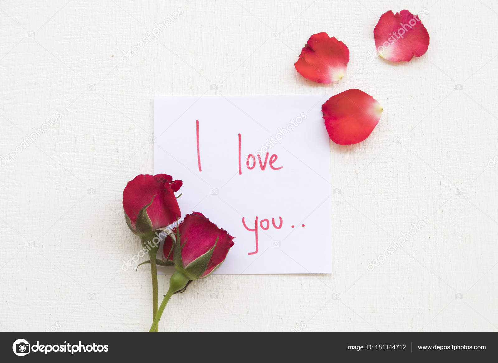 Love You Message Card Red Rose Background White Stock Photo