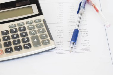 rapor gider gelir ve mali tablo yıllık bilanço, Ofis Masası