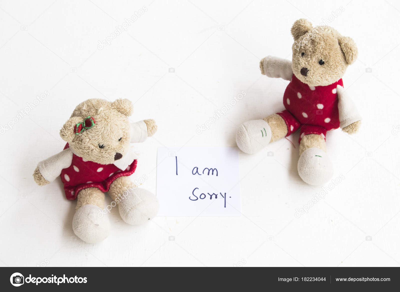 sorry teddy bear