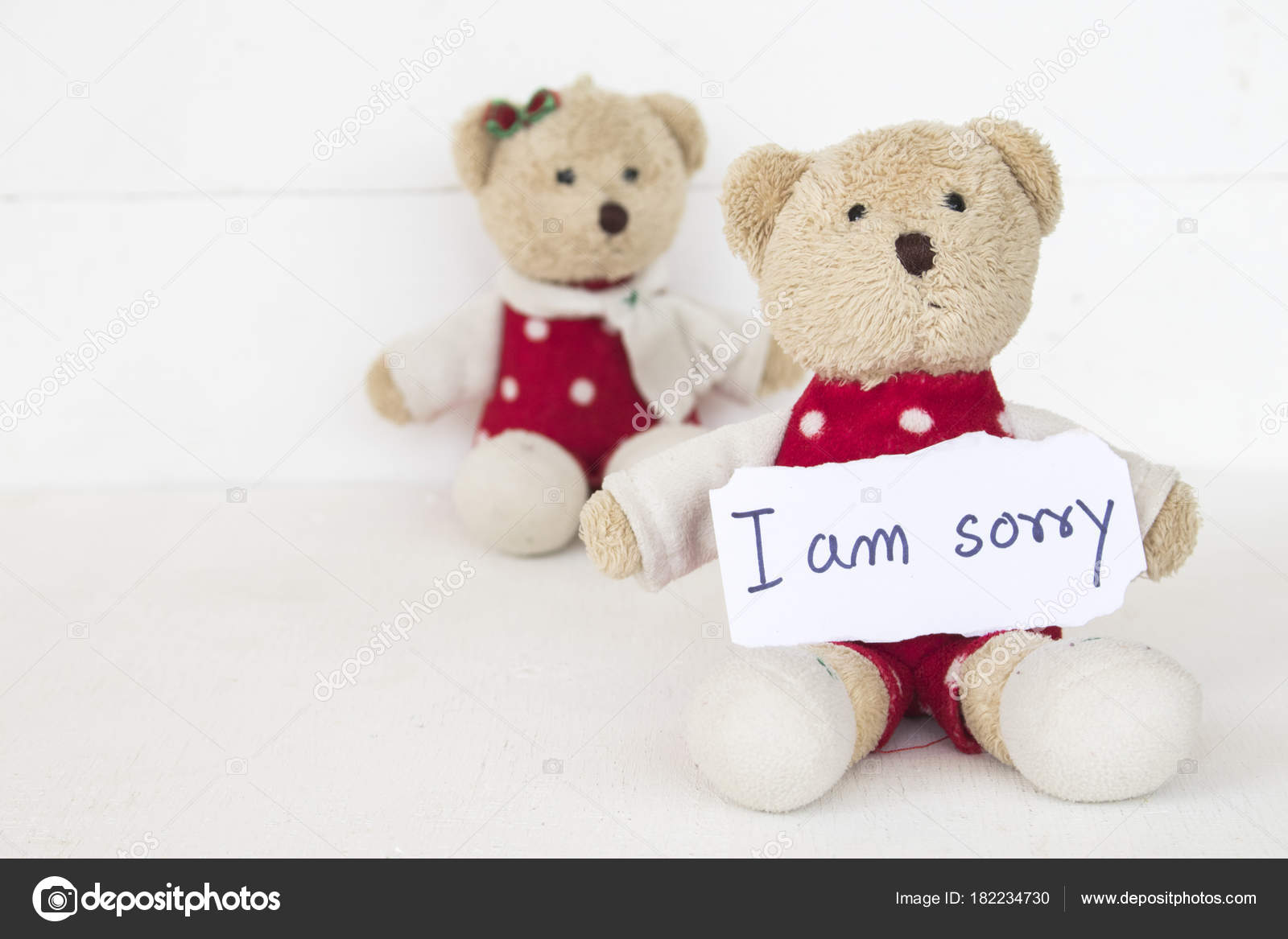 i am sorry teddy bear