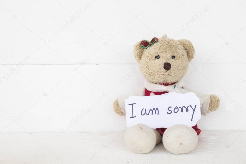 i am sorry message card with  teddy bear on background white