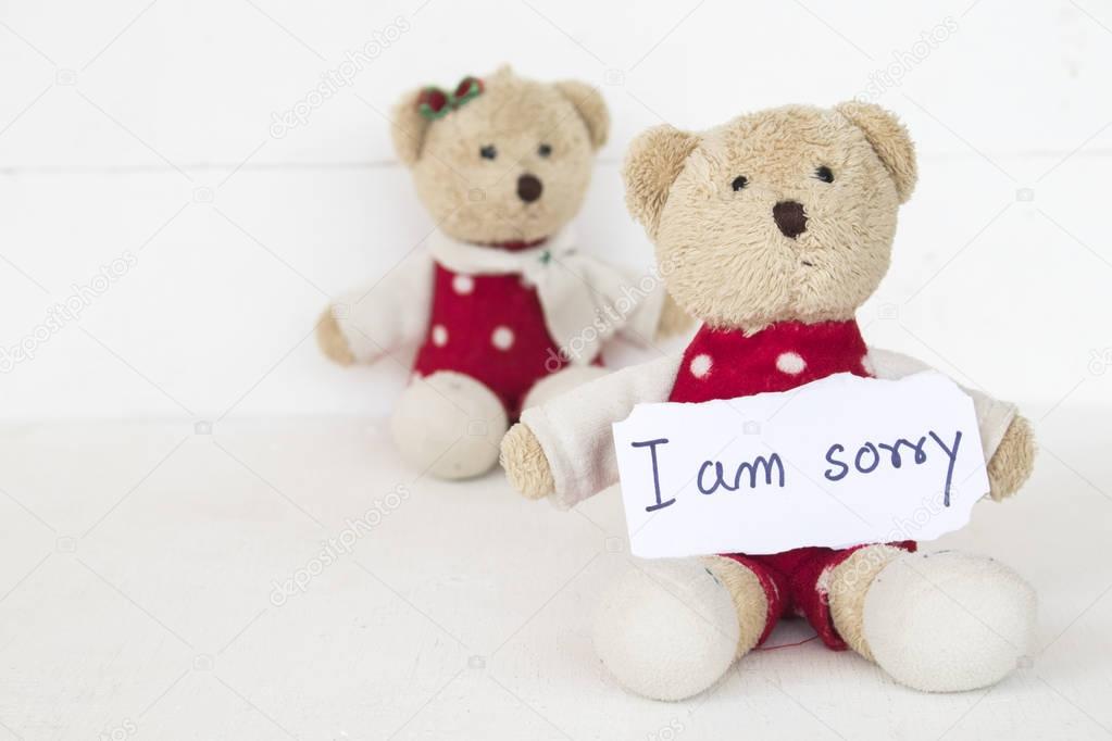 i am sorry message card with couple teddy bear on background white