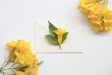 Zarfın üzerinde beyaz ile arka plan doğa sarı çiçek