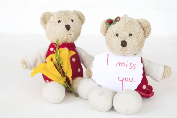 i miss you message card with couple teddy bear on background white