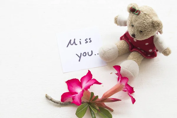 miss you message card with teddy bear on background white
