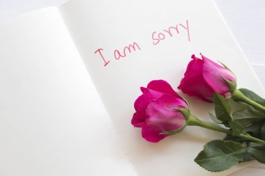 Im'üzgün mesaj kart el yazısı üstünde defter pembe Gül desenli