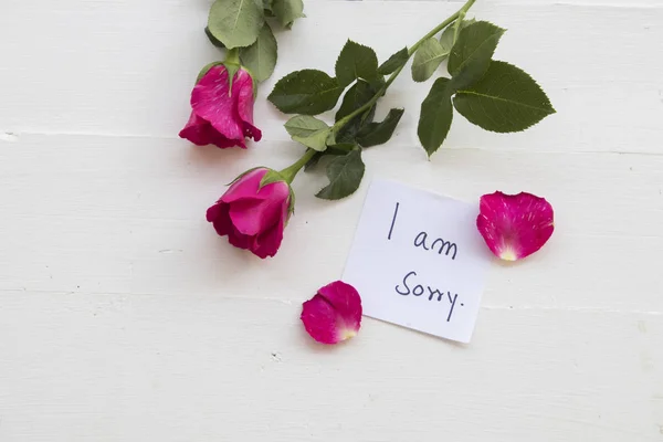Jsem Promiň Zprávy Kartu Růžové Růže Bílé Pozadí — Stock fotografie
