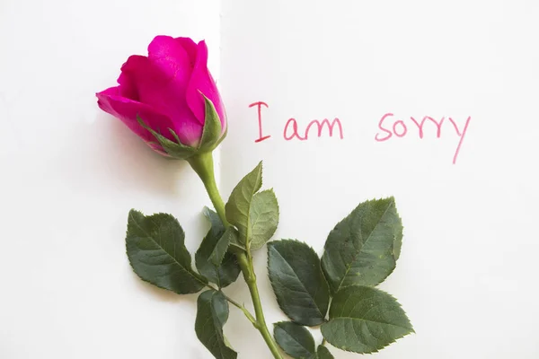 Tut Mir Leid Nachrichten Karte Mit Rosa Rose Auf Weißem — Stockfoto