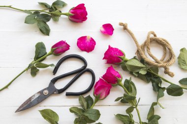 makas için pembe Gül çiçekçi tablo beyaz hazırlamak