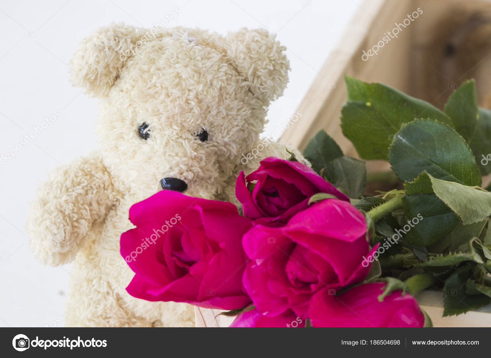 pink roses with teddy bear