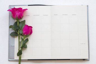 defter planlayıcısı aylık ofis masasında iş için pembe Gül