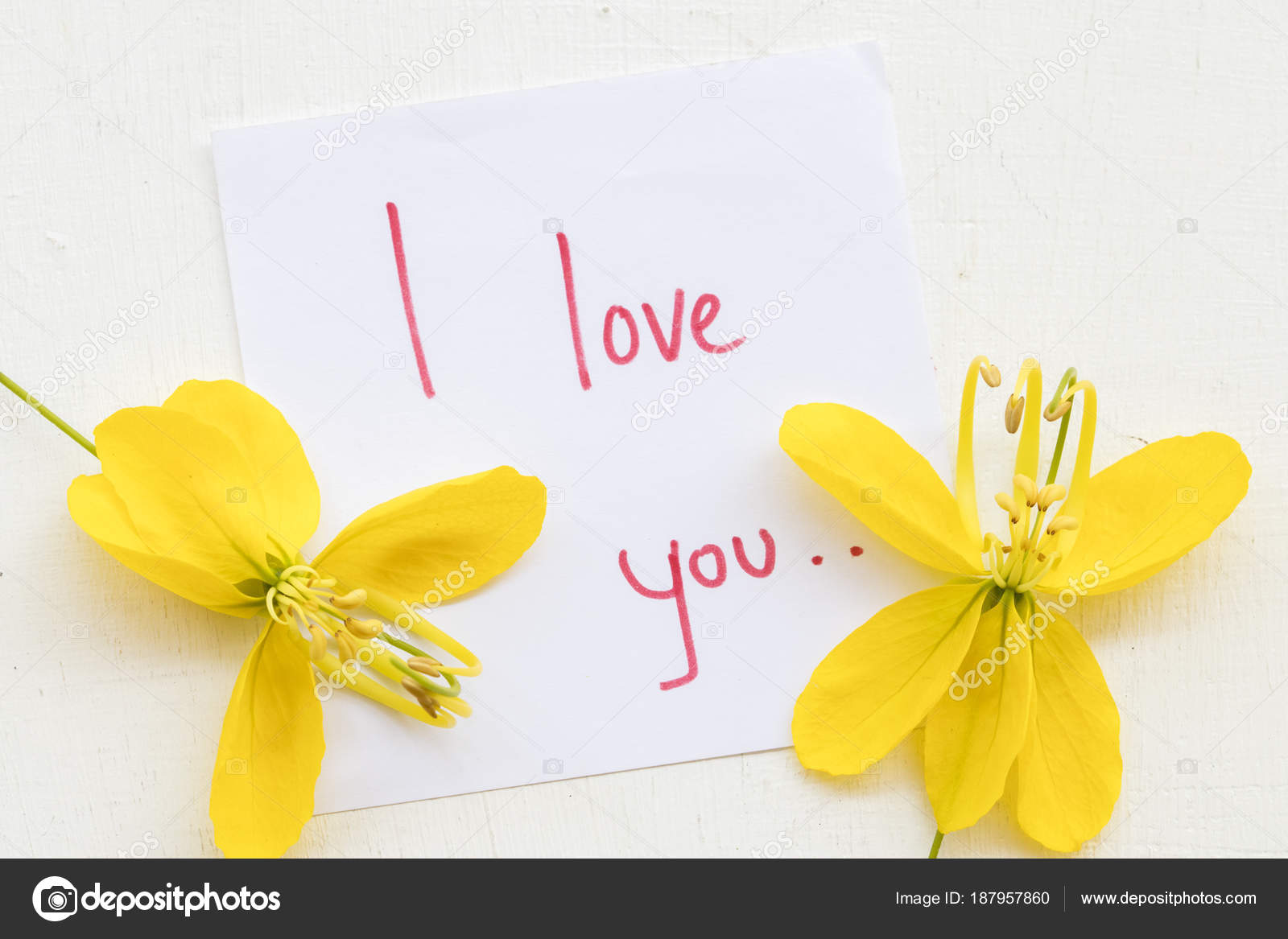 Flower Card Messages I Love You Best Flower Site