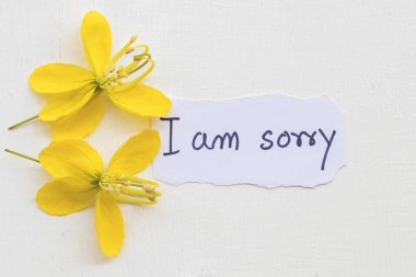 Özür dilerim mesaj kart notepaper el yazısı ile arka plan beyaz sarı çiçek olduğumu