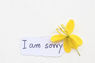 Özür dilerim mesaj kart notepaper el yazısı ile arka plan beyaz sarı çiçek olduğumu