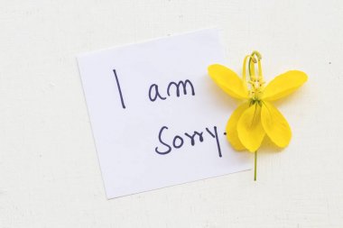 Özür dilerim mesaj kart notepaper el yazısı ile arka plan beyaz sarı çiçek olduğumu