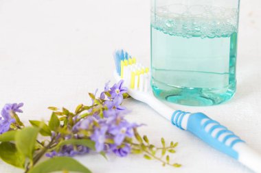 diş macunu ile diş fırçası sağlık ağız boşluğu ve beyaz mor çiçek