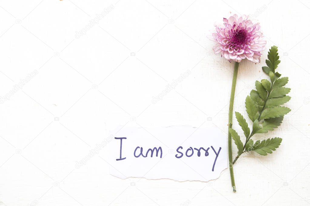 Sorry Message Card Flower Background White — Stock Photo © phenphayom