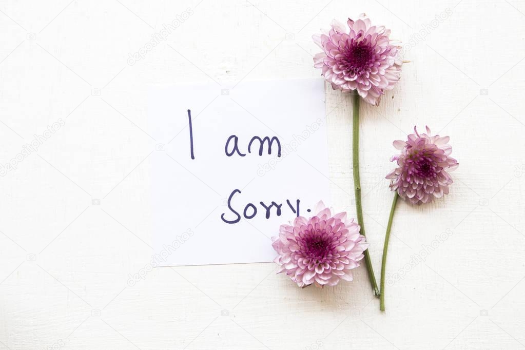 Sorry Message Card Flower Background White — Stock Photo © phenphayom