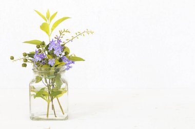 arka plan beyaz şişe natürmort mor Çiçek Aranjman Çiçek