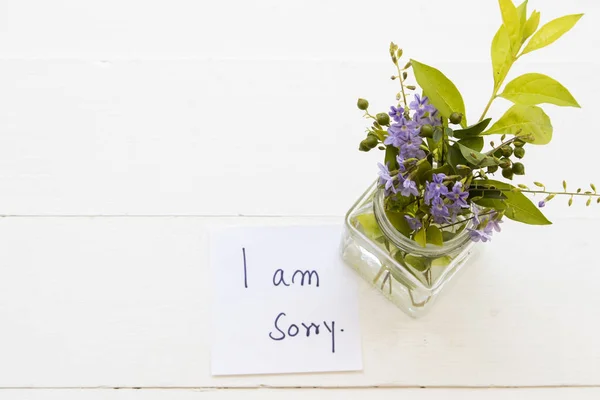 i am sorry  message card with purple flowers in bottle on background white