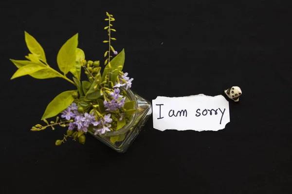 i am sorry  message card with purple flowers in bottle on background black