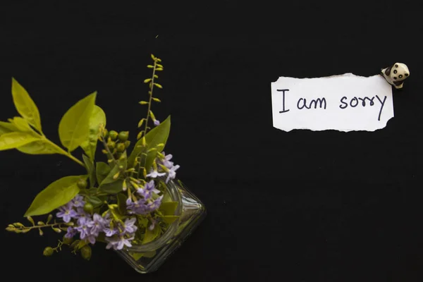 i am sorry  message card with purple flowers in bottle on background black