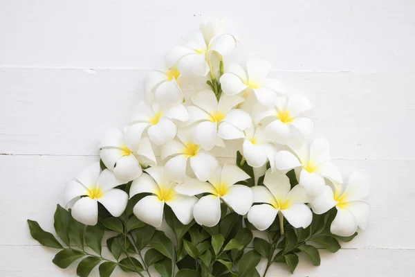 white flower frangipani scents and leaf arrangement on background white