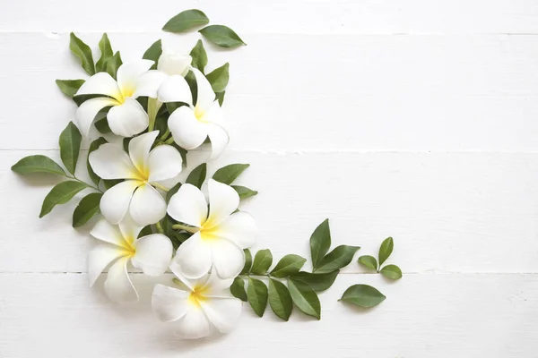 white flower frangipani scents and leaf arrangement on background white
