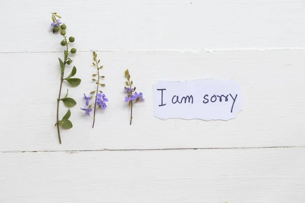 Sorry Message Card Handwriting Purple Flower Background White Wooden —  Fotos de Stock