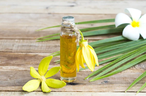 Çiçeklerin doğal bitkisel yağları ylang ylang kokusu koku düzenleme düz arka plan ahşap üzerine yatıyordu