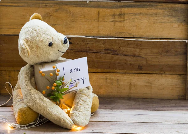 Sorry Message Card Handwriting Teddy Bear Holding Gift Box Decoración —  Fotos de Stock