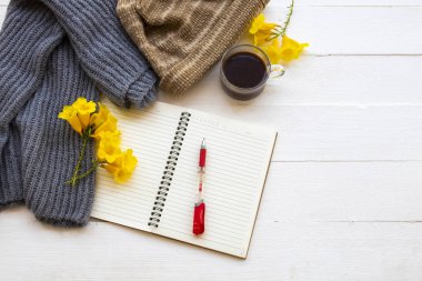 Not defteri planlayıcısı, örgü ören yün atkısı ve sıcak kakaolu kadın kış sezonu düzenlemelerinde rahat arka planda düz bir şekilde yatıyordu. 