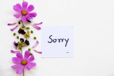 sorry message card handwriting with pink  flowers cosmos arrangement flat lay postcard style on background white