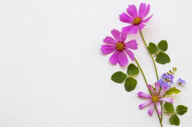 Renkli pembe çiçekler kozmos düzenleme düz arkaplan beyaz ahşap üzerine yatıyordu kartpostal tarzı
