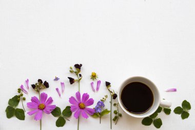 colorful pink flowers cosmos  with hot coffee espressor arrangement flat lay postcard style on background white wooden