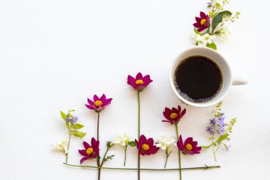 Bahar mevsiminde pembe renkli kozmoslar. Sıcak kahve espresso düzenlemesi. Arka planda beyaz ahşap bir kartpostal şeklinde.