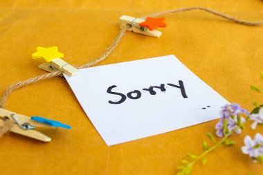 Ahşap yıldız, ip ve mor çiçek düzenleme arkaplan kahverengi kağıt üzerinde düz kart düzenleme ile üzgünüm mesaj kartı el yazısı 