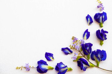 Mavi çiçekler kelebek bezelye yerel Asya çiçek düzenleme düz arka planda beyaz ahşap üzerine yatıyordu kartpostal tarzı