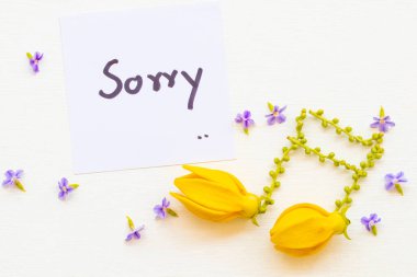 Üzgünüm sarı çiçekli mesaj kartı el yazısı ylang ylang düzenleme müzik notası düz bir kartpostal tarzı arkaplan beyaz ahşap üzerine yatar