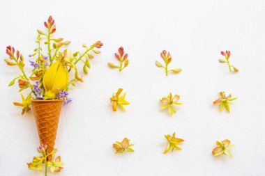 Demirhindi çiçeği, sarı çiçekler ylang ylang ve mor çiçekler koni bitkilerinde bahar mevsiminde Asya 'nın yerel bitki örtüsü düz bir şekilde arka planda beyaz ahşap kartpostal şeklinde yatıyordu.