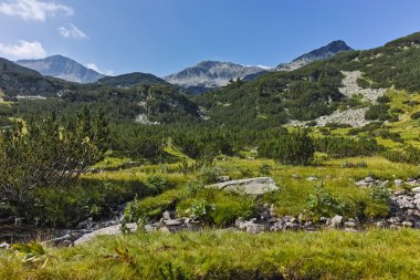 Banderishki Kınalı tepe, Pirin Dağı
