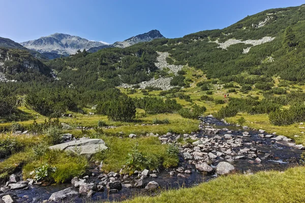 Banderishki berghöna Peak, Pirin berget — Stockfoto
