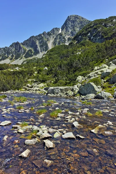 River and Sivrya peak, Pirin Mountain — Stok Foto
